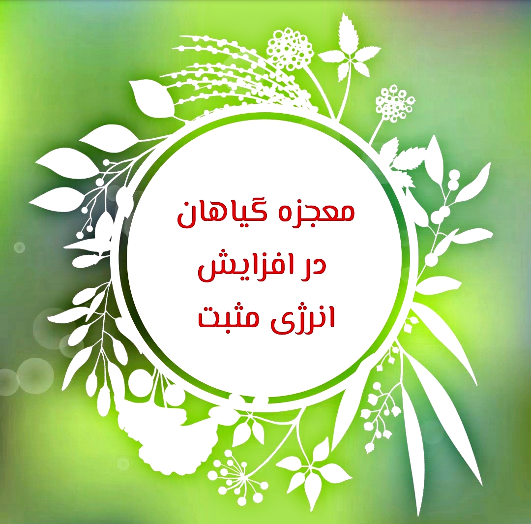 تأثیر گیاهان بر انرژی مثبت