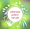 تأثیر گیاهان بر انرژی مثبت